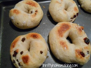 homemade bagels 7