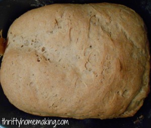 Homemade Applesauce Spice Bread