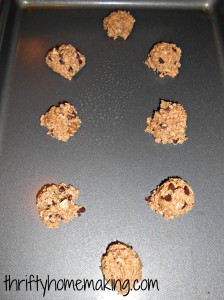 fourless oatmeal chocolate chip cookies