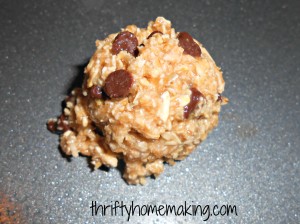 fourless oatmeal chocolate chip cookies