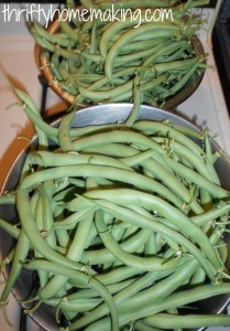 green beans 1