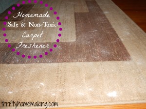 DIY Safe, Non-Toxic Carpet Freshener