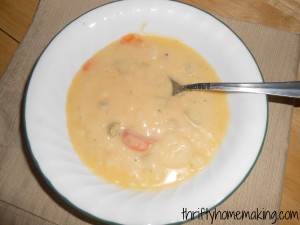 Vegetable Cheese Soup