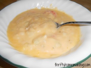 Vegetable Cheese Soup