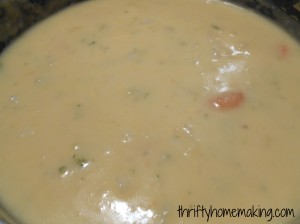 Vegetable Cheese Soup