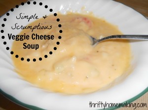 Vegetable Cheese Soup