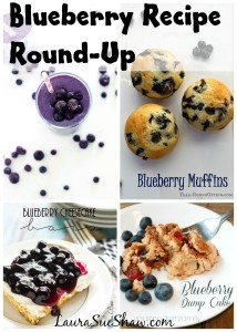 Blueberry Recipe Round-Up